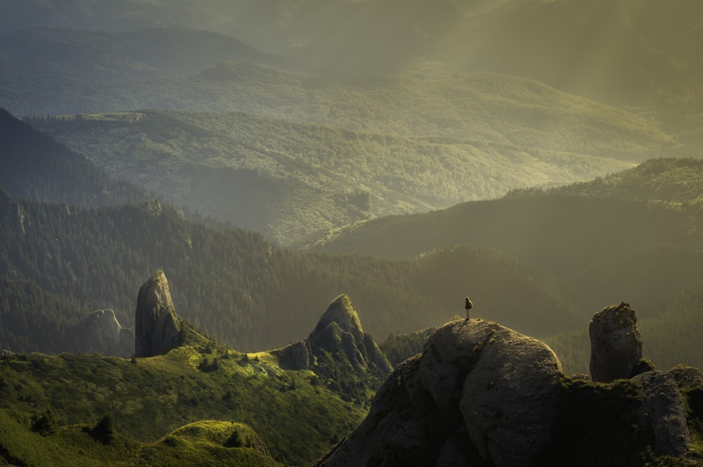 Sustainable Travel: How to Explore Responsibly